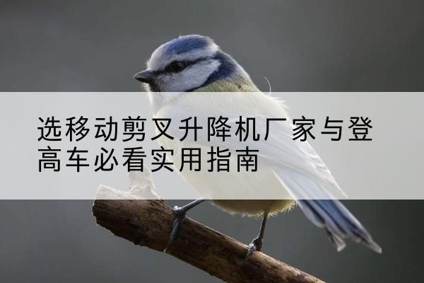 乌拉特中旗电动升降机厂家-选移动剪叉升降机厂家与登高车必看实用指南