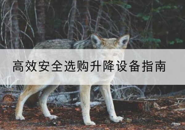 乌拉特中旗升降货梯厂家推荐-*安全选购升降设备指南