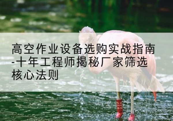 乌拉特中旗剪叉式升降机厂家-高空作业设备选购实战指南-十年工程师揭秘厂家筛选核心法则